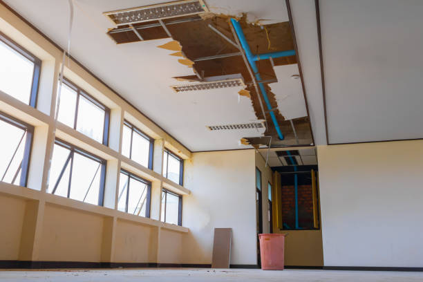 Best Basement water damage restoration  in Steilacoom, WA