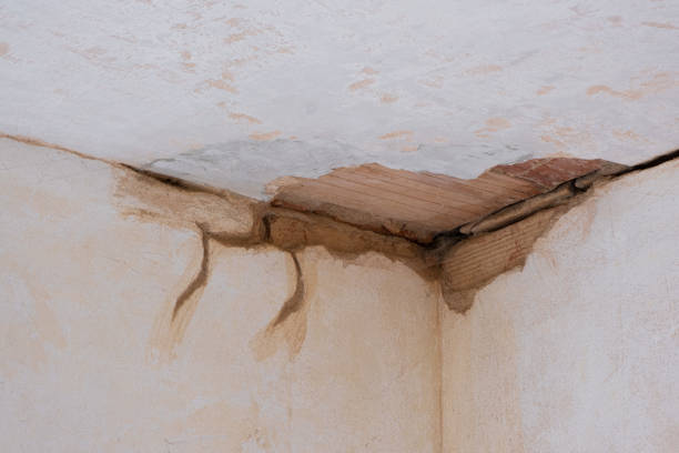 Best Fire Damage Restoration  in Steilacoom, WA