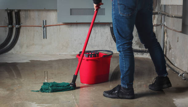  Steilacoom, WA Water damage restoration Pros