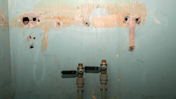 Best Flood restoration services  in Steilacoom, WA