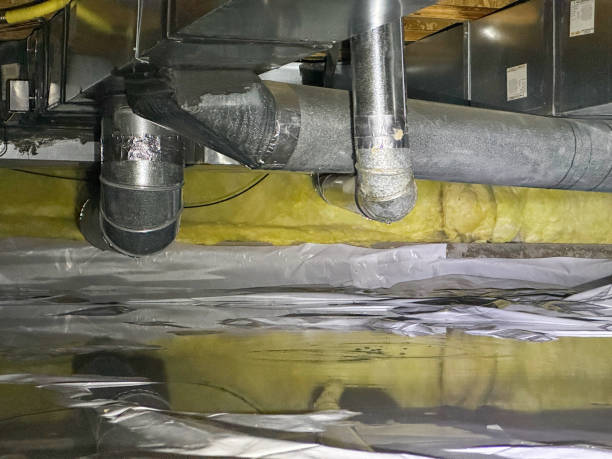 Best Water damage restoration near me  in Steilacoom, WA