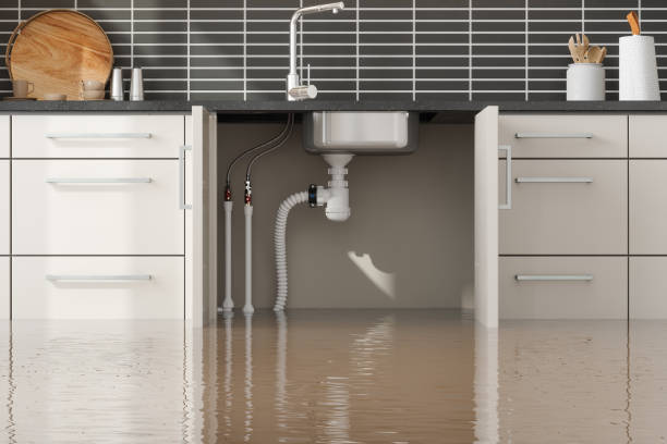 Best Emergency water damage restoration  in Steilacoom, WA