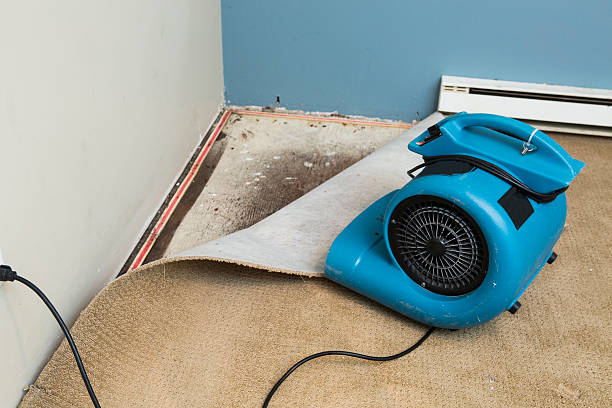 Best Professional water damage repair  in Steilacoom, WA