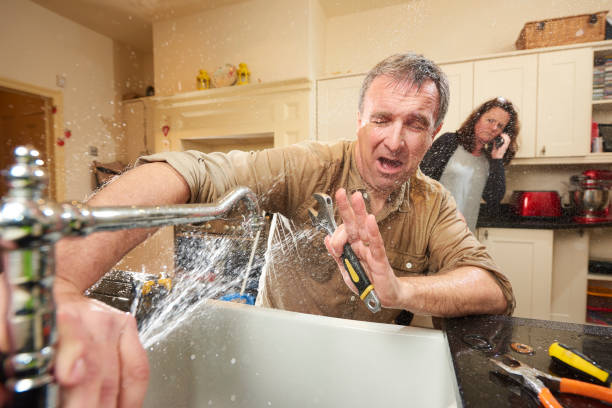 Best Mold removal after water damage  in Steilacoom, WA